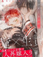 素纸 Layers 索引卡封面